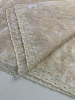 Soft Organza Saree / 221A