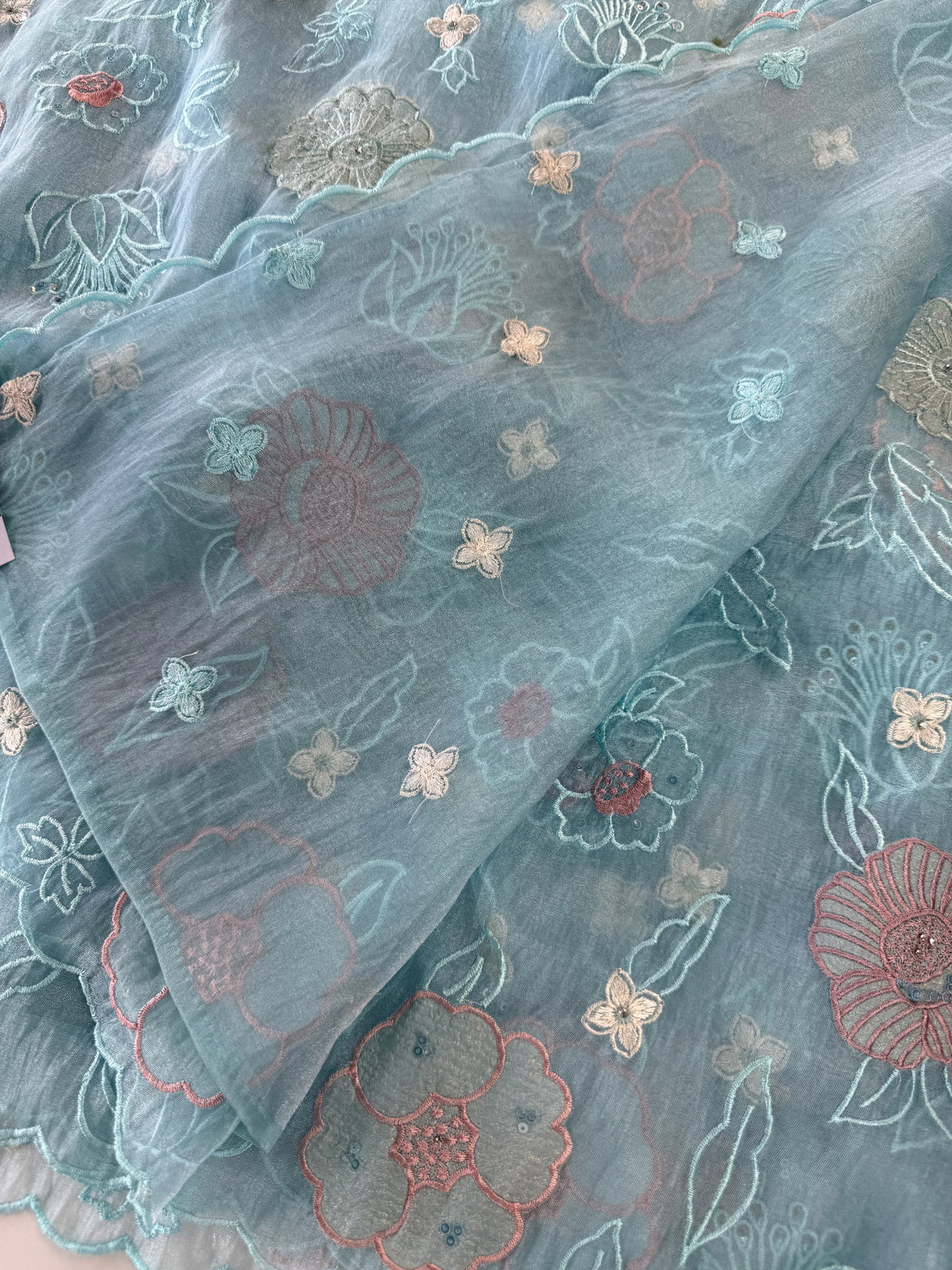 Organza Saree/ AM102