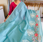 Tissue organza saree /RKF07