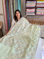 Organza Saree/ SS842