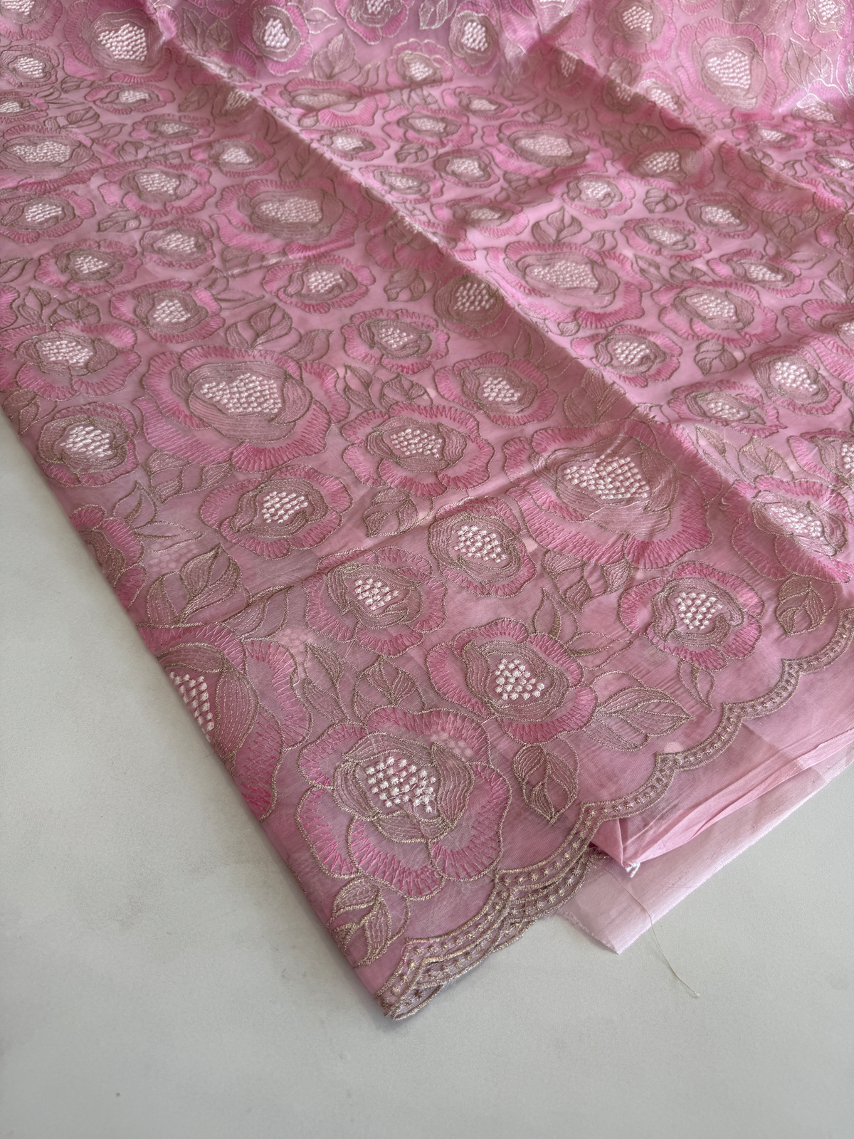 Organza Saree/ SS843