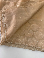 Glass Organza Saree/ AP1010