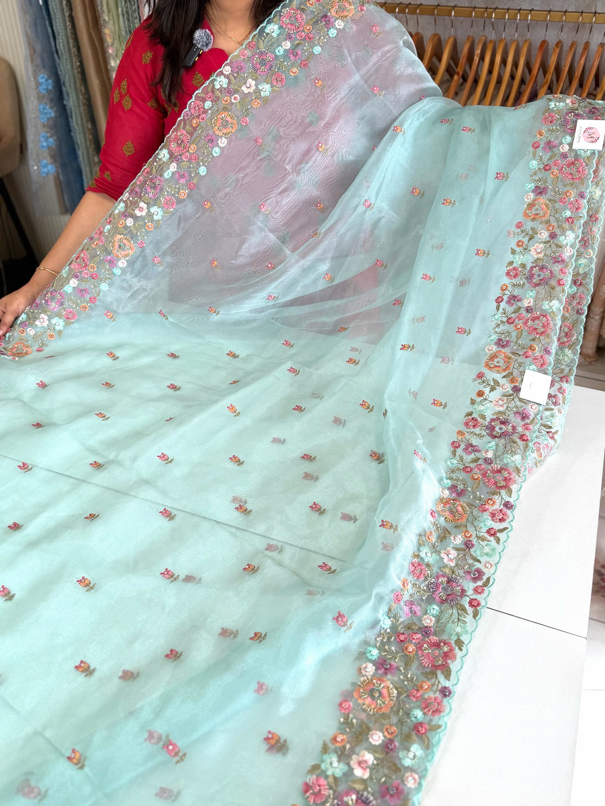 Glass organza saree/ 67HL