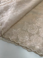 Glass Organza Saree/ AP1010
