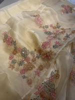 Glass organza saree/ AS762