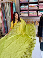 Soft organza Saree/ CW804
