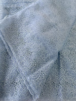 Soft Organza Saree/ AM103