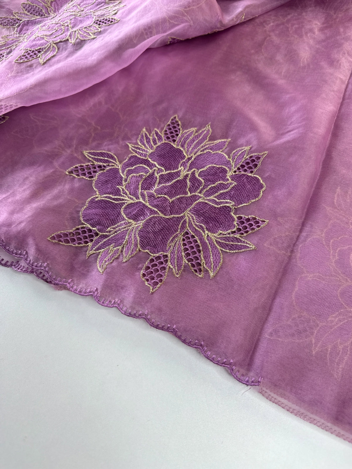 Soft organza saree/ CW766