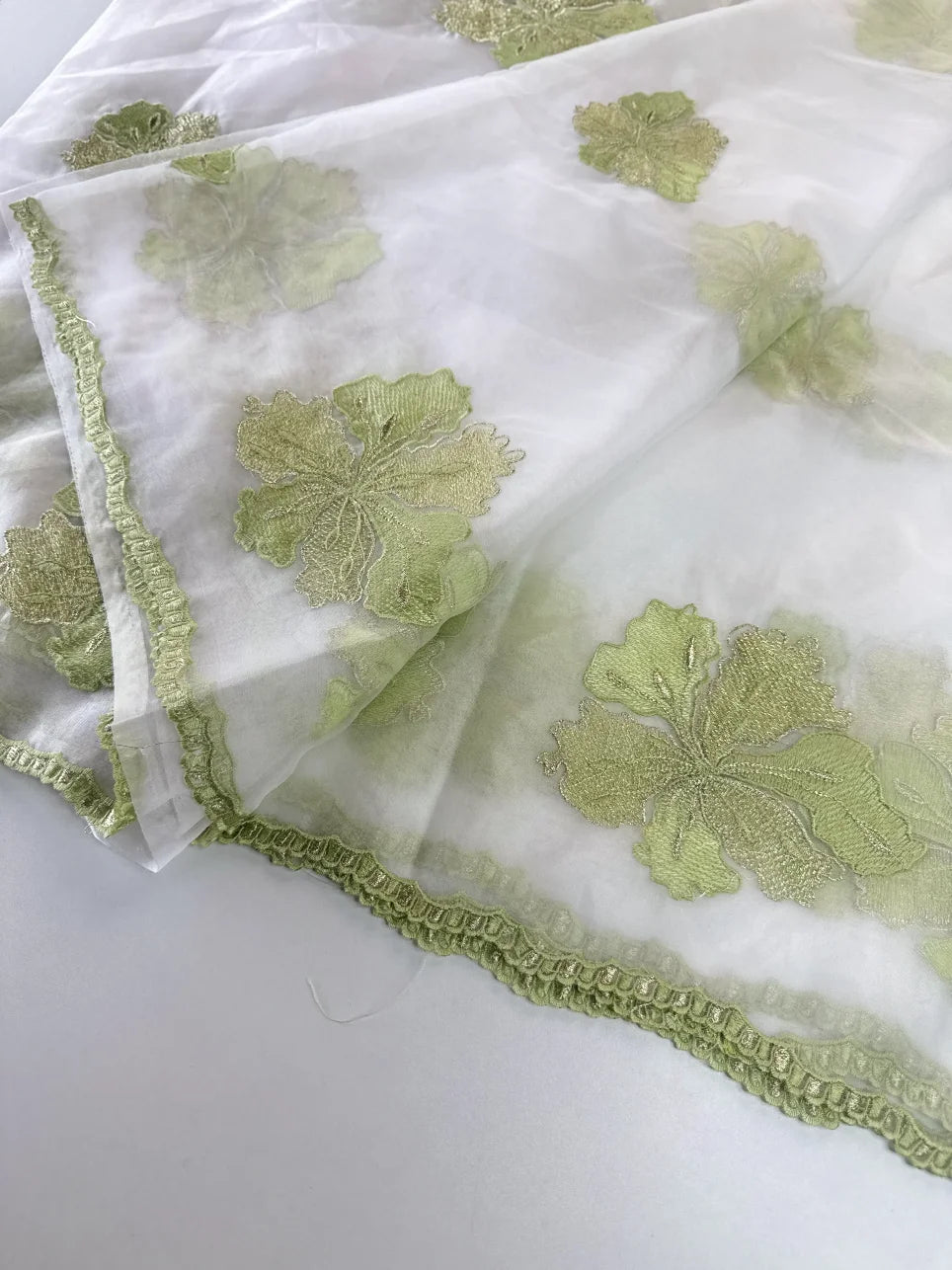Soft organza saree/ CW865
