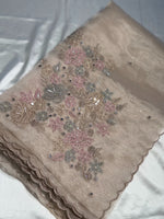 Glass organza saree/ AS762
