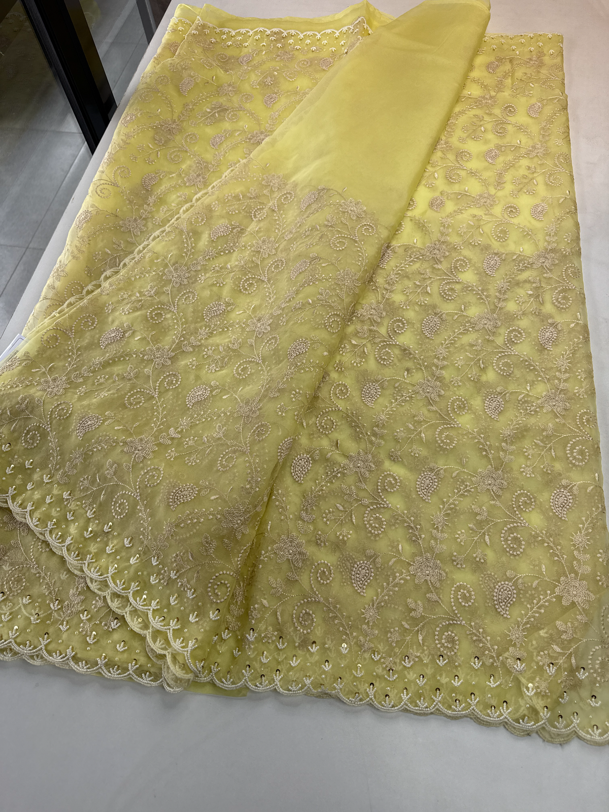 Soft Organza Saree / 221A