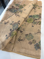 Tissue saree / BE01
