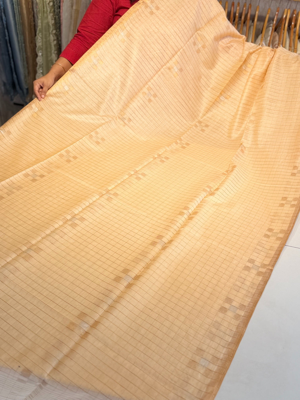Semi Bagalpuri silk saree/ NC239