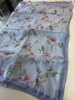 Chiffon saree/ RF44
