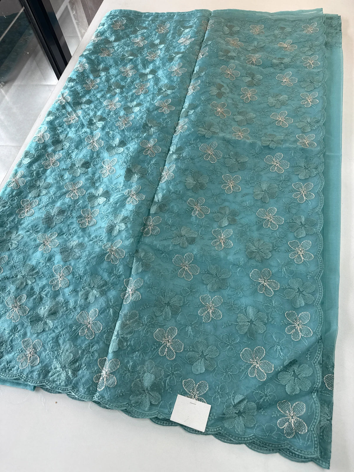 Soft organza Saree/ CW804