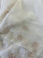 Shimmer organza / AM105