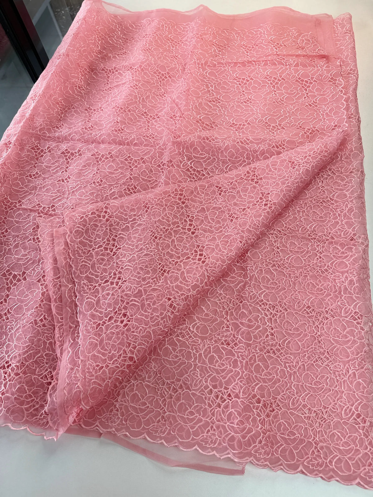 Soft Organza Saree/ AM103