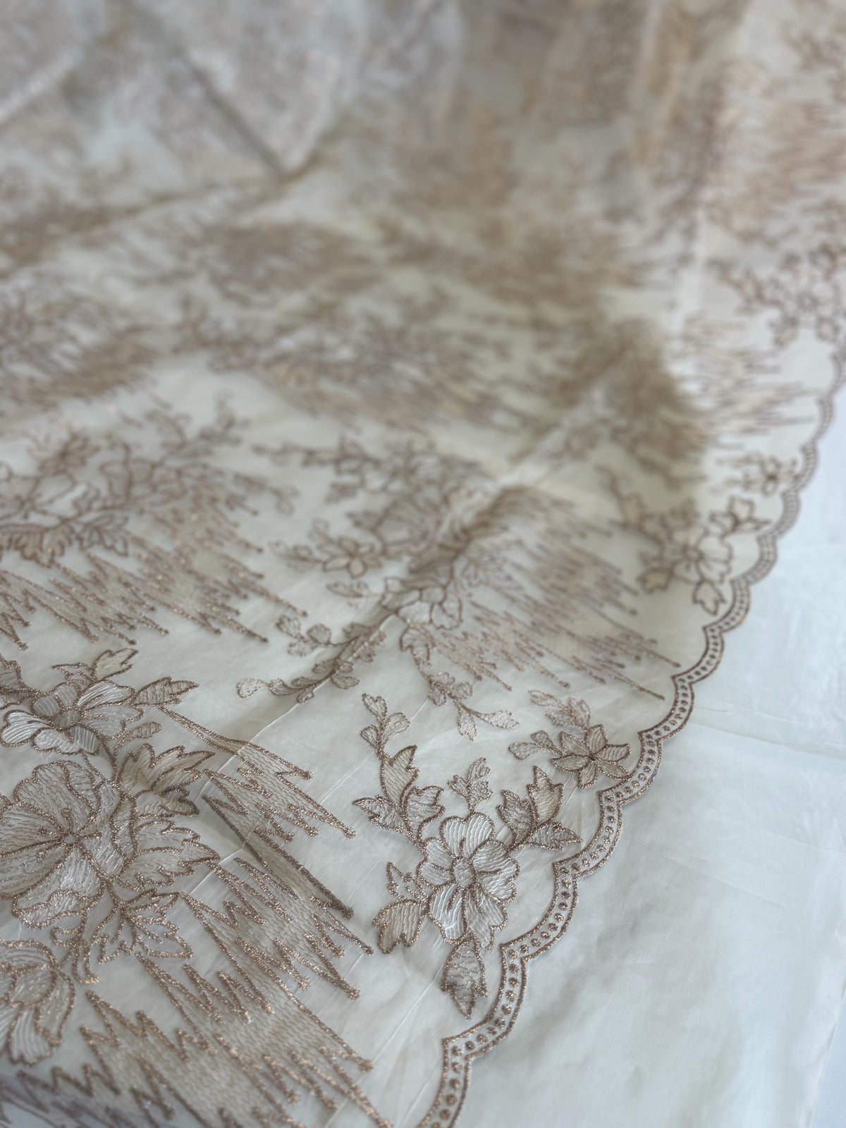Organza saree/ 845S