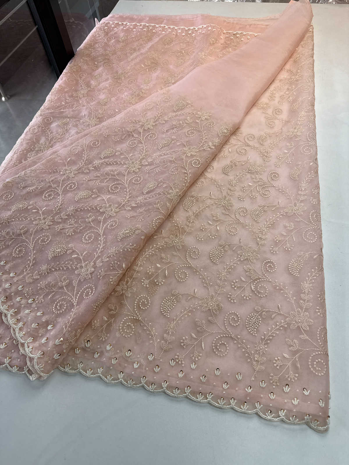 Soft Organza Saree / 221A