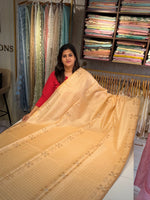 Semi Bagalpuri silk saree/ NC239