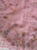 Organza Saree/ AM111