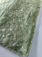 Soft Organza Saree/ CW779