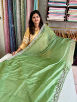 Satin organza saree/ AP59
