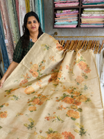 Tissue saree / BE01