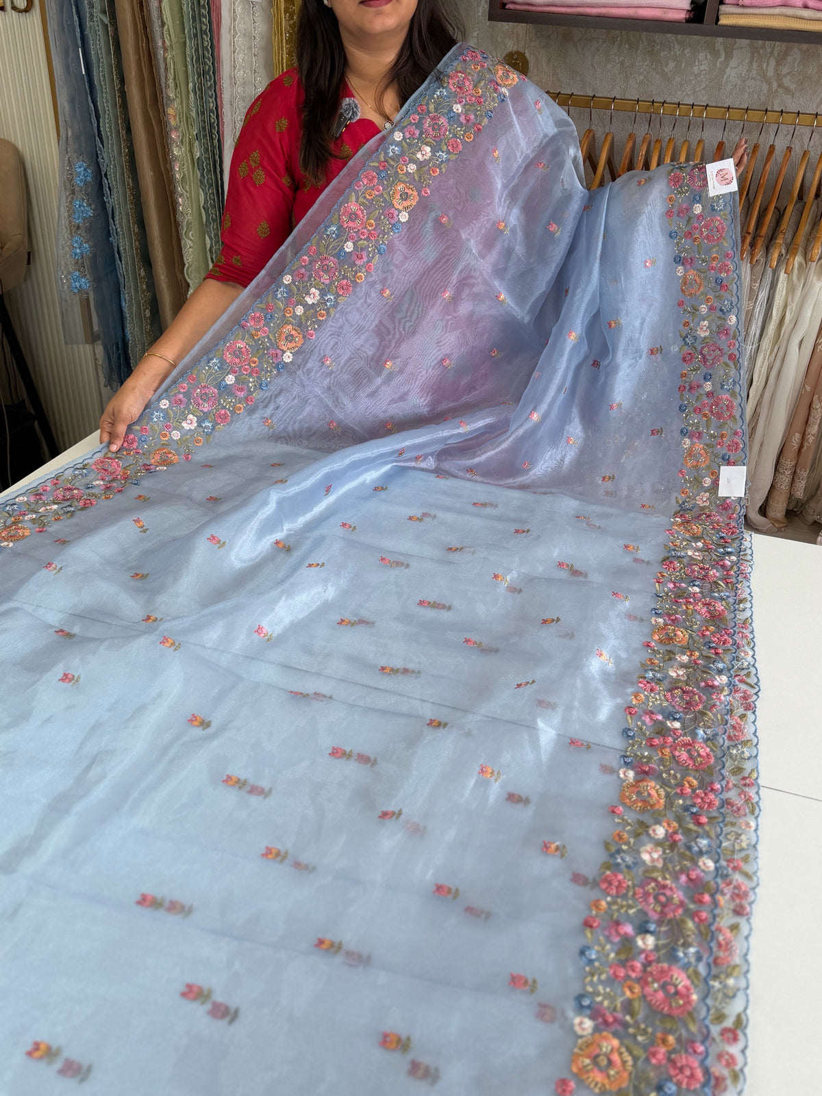 Glass organza saree/ 67HL
