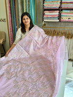 Organza Saree/ SS842