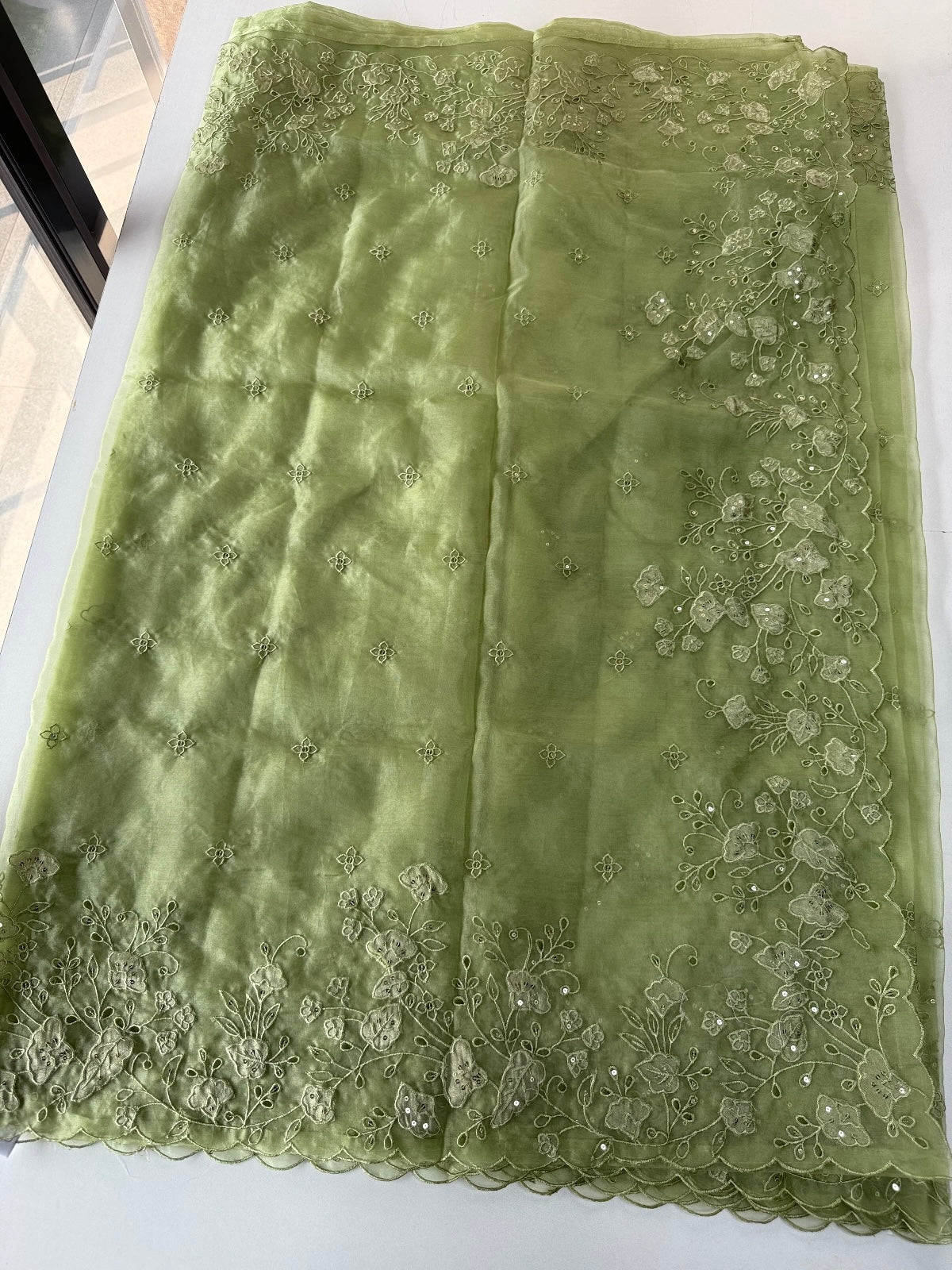 Soft Organza Saree/ 259A