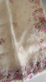 Organza Saree/ D5333