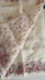 Organza Saree/ D5333