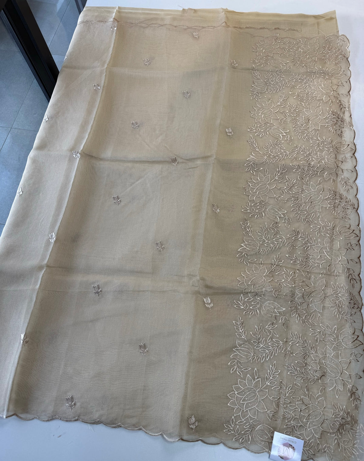 Chanderi Tissue Blend saree design 3/ RF54