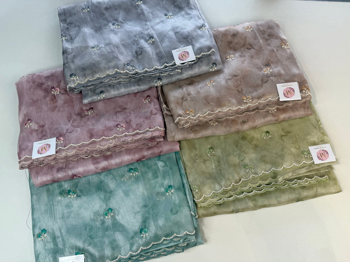 Tissue Organza Saree/ RKF14
