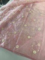 Soft Organza Saree/ CW779