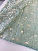 Soft Organza Saree/ CW779
