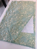Soft Organza Saree/ CW779