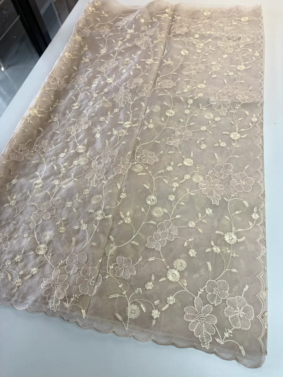 Soft Organza Saree/ CW779