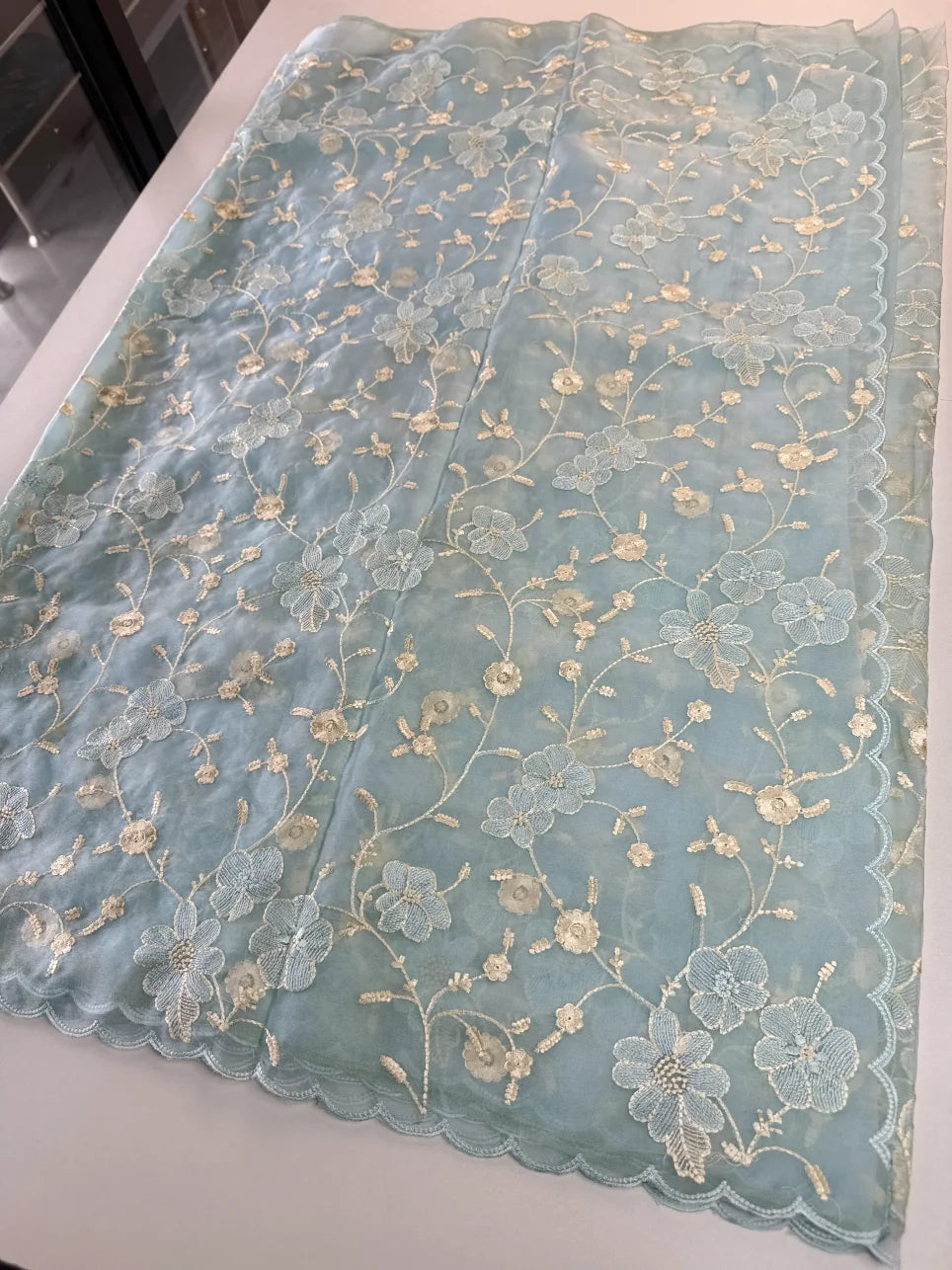 Soft Organza Saree/ CW779