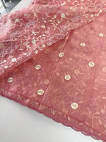 Soft Organza Saree/ CW779