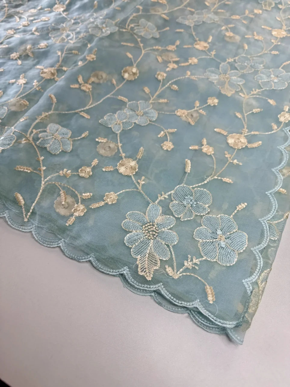 Soft Organza Saree/ CW779