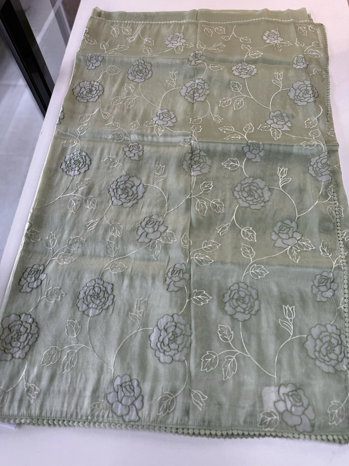 Tissue Organza Saree/ SC80