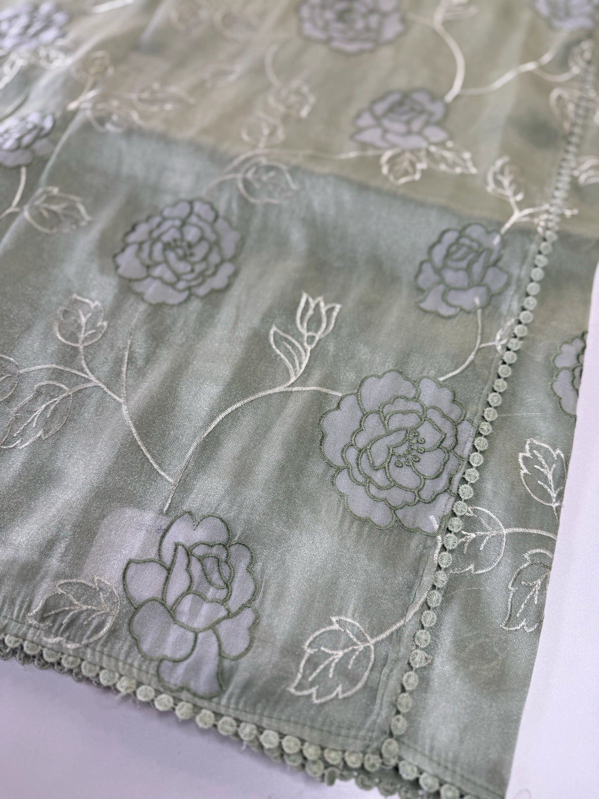 Tissue Organza Saree/ SC80