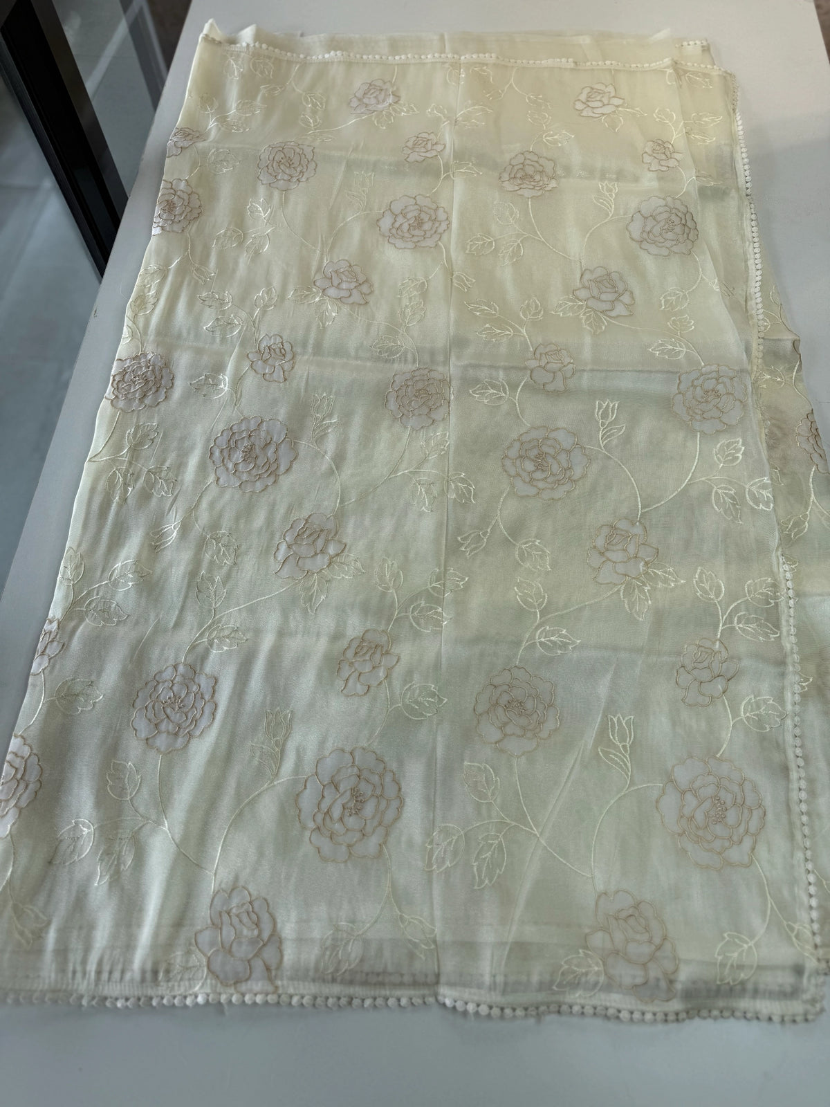 Tissue Organza Saree/ SC80