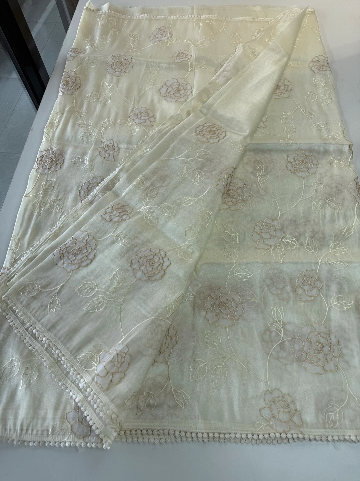 Tissue Organza Saree/ SC80