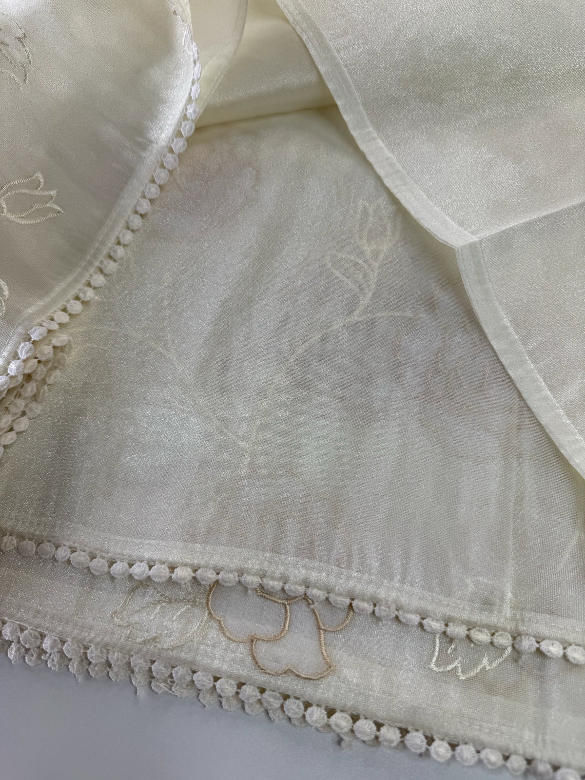 Tissue Organza Saree/ SC80