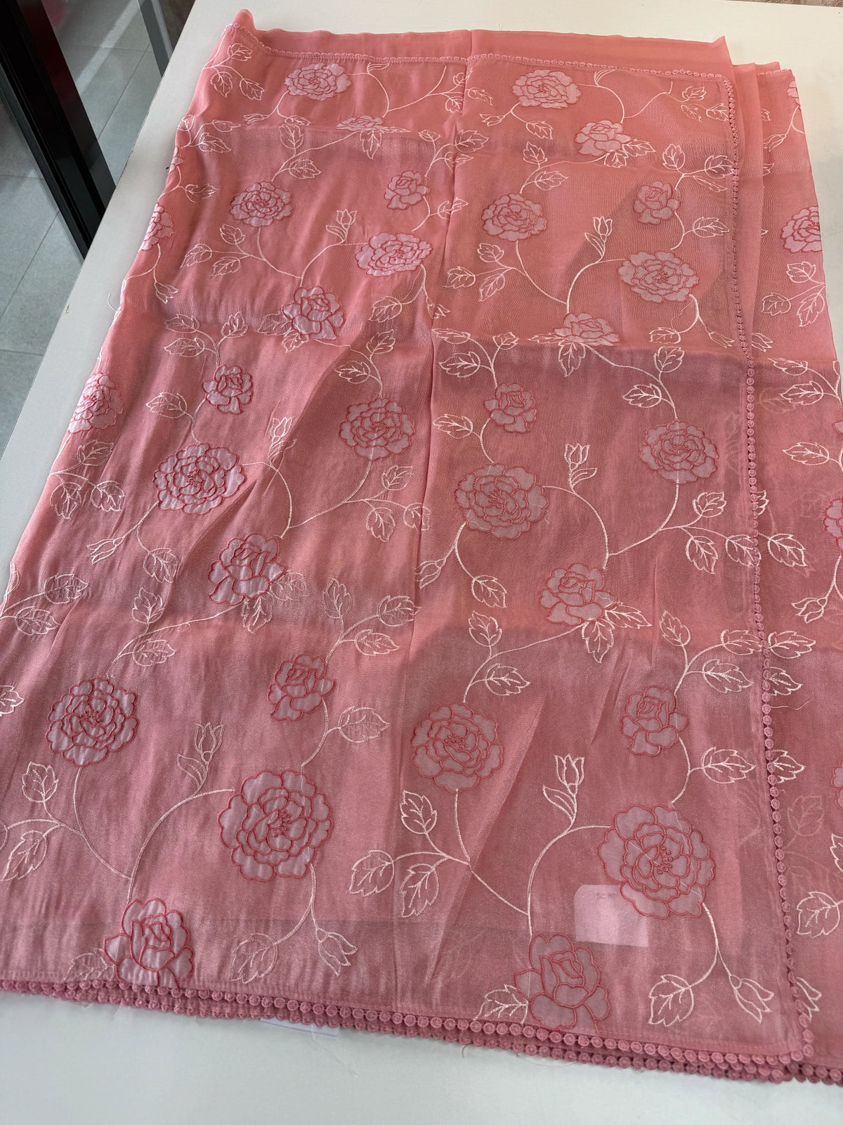 Tissue Organza Saree/ SC80