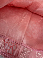 Tissue Organza Saree/ SC80