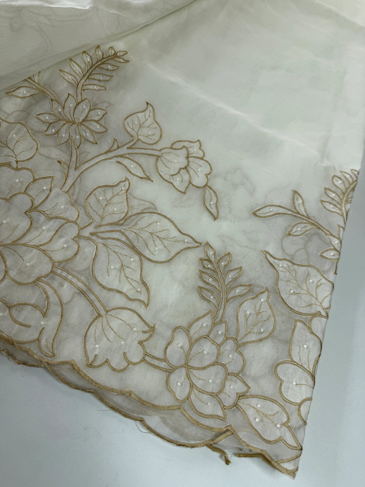 Viscous Organza Saree/ AWS22